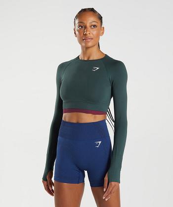 Dámské Oříznuté Topy Gymshark Vital Seamless 2.0 Zelene | CZ 3758WNB